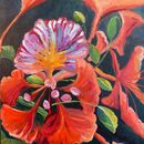 Flamboyant-blossom-2022 - SOLD  » Click to zoom -\>
